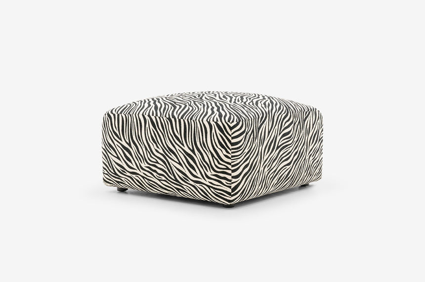 01-bold_animals01.jpg